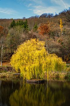 Ein Blick auf den Schlossteich in Grillenberg von Andreas Völkel