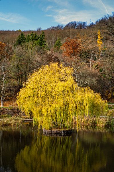 Uitzicht op de kasteelvijver in Grillenberg van Andreas Völkel