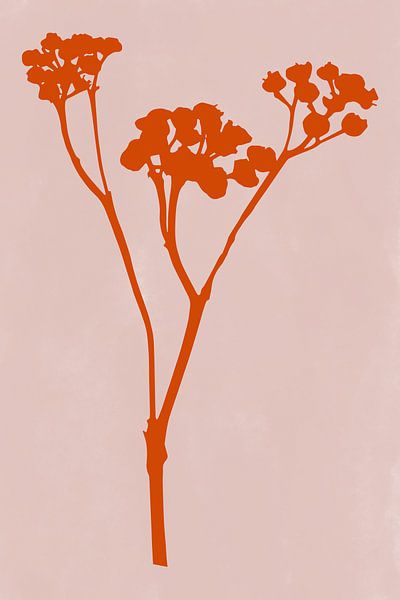 Modern botanical art. Flower in terracotta on pink by Dina Dankers