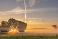 Sonnenaufgang über nebligen flämischen Feldern im Brügge-Ommeland von Mike Maes Miniaturansicht