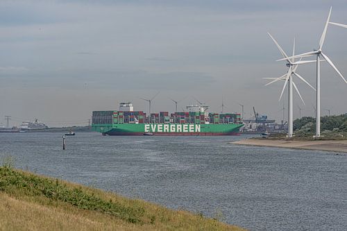 Containerschip EVER ALP van Evergreen Marine. van Jaap van den Berg