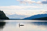 Herrlich ruhige Bucht mit Vögeln in Puyuhuapi an der Carretera austral.