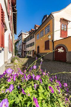 Alley in the upper town of Bregenz on Lake Constance by Werner Dieterich