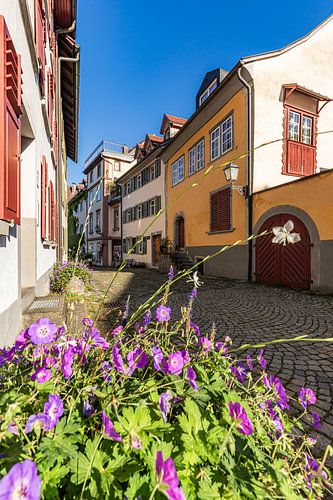 steegje in de bovenstad van Bregenz aan het Bodenmeer