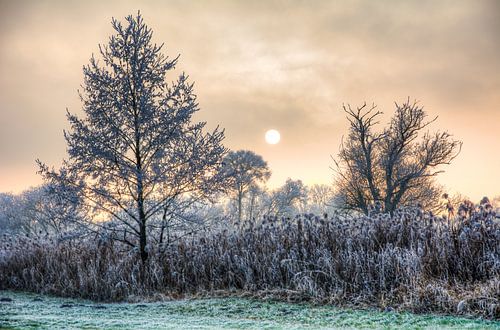 Beschermd landschapsgebied Goachat bij Schrobenhausen in Beieren