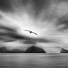 Fjord in Alaska in zwart wit van Chris Stenger