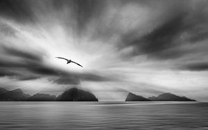 Fjord in Alaska in zwart wit van Chris Stenger