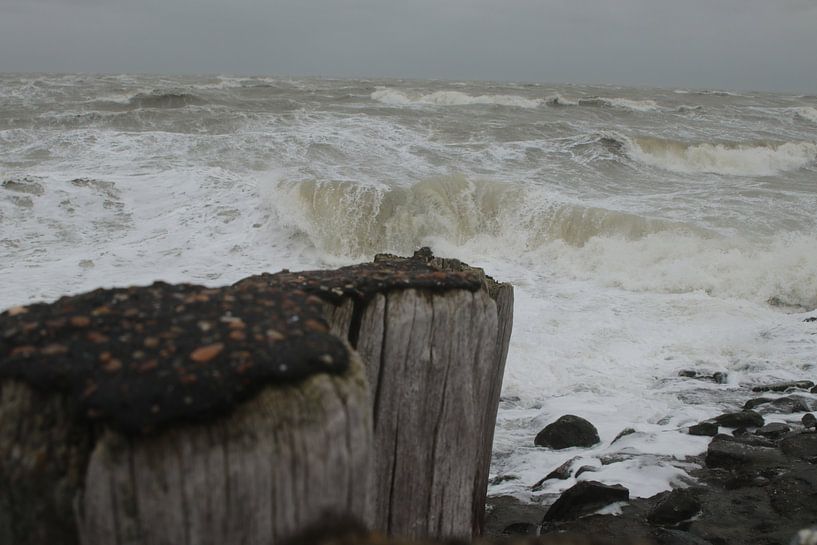 Stormachtige zee van Wendy Hilberath