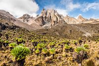 Mount Kenia
