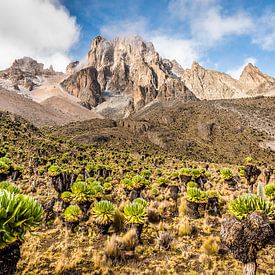 Mount Kenya by Nick Chesnaye