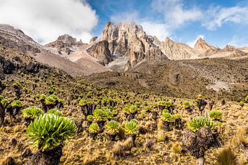 Mount Kenya by Nick Chesnaye