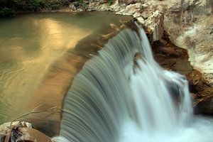 Le grand saut dans l'eau