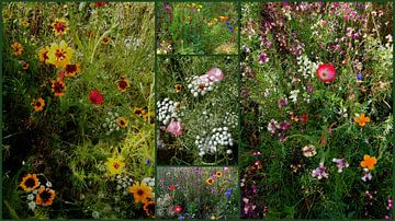 English Cottage Garden Collage 2 van Dorothy Berry-Lound