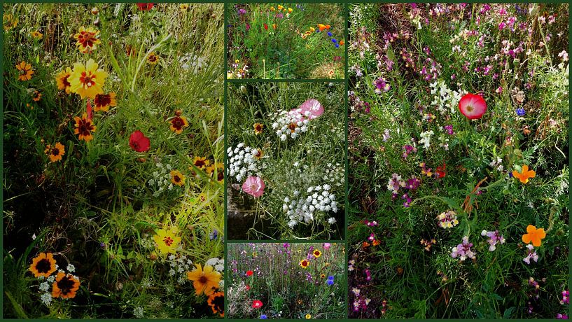 English Cottage Garden Collage 2 by Dorothy Berry-Lound
