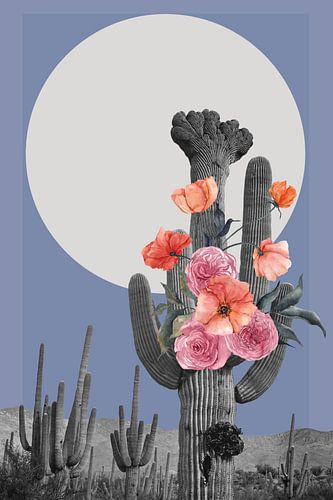 The Retro Desert Landscapes