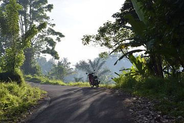 Scooter in de Jungle van Bianca ter Riet