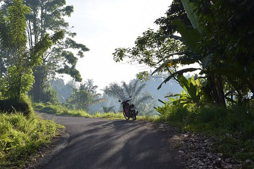 Der Wächter des Tals