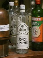 Jonge jenever