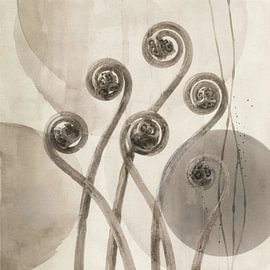 Fern whispers