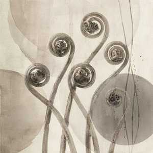 Fern whispers