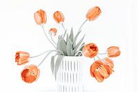 bunch of tulips