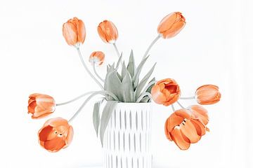 bunch of tulips by Michael Schulz-Dostal