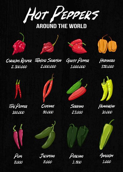 Échelle de piquant de différentes sortes de piments dans le monde entier par Pixelbull Design