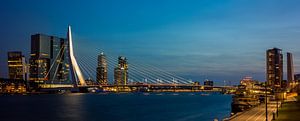 Rotterdam , skyline met Erasmusbrug (Large)