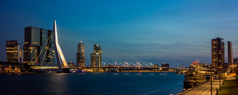 Rotterdam , skyline met Erasmusbrug (Large) van Teun Ruijters