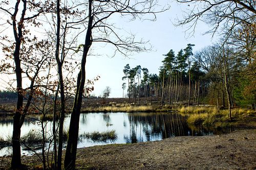 Salamandergat,  het Leesten Ugchelen (The Netherlands)