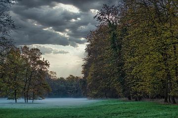 Vluchtige ontmoetingen in het park van Thomas Riess