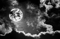 Clouded sky