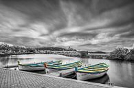 Trio de Barques van Catherine Fortin thumbnail
