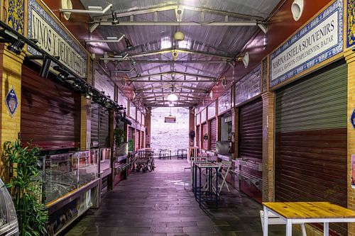 Abandoned market hall in Seville