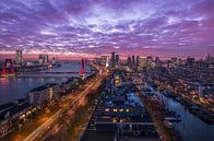 Het panoramisch uitzicht over Rotterdam van MS Fotografie | Marc van der Stelt thumbnail