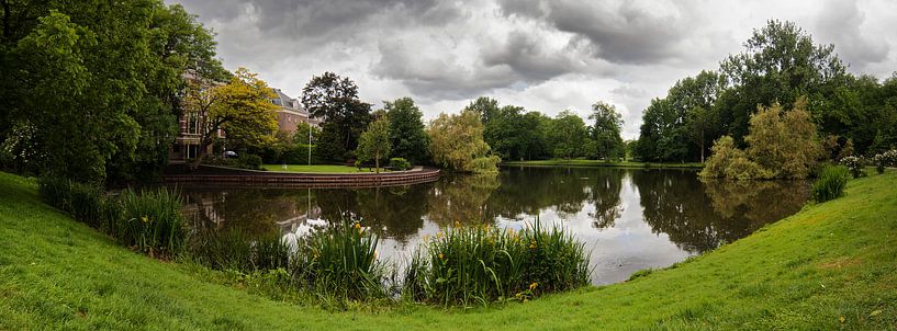 Het Vondelpark van Thomas van der Willik