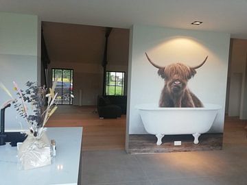 Customer photo: Scottisch Highland Cow In Bathtub