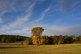 Fall by Karin Jähne