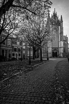 Hooglandse kerk Leiden van Patrick Herzberg