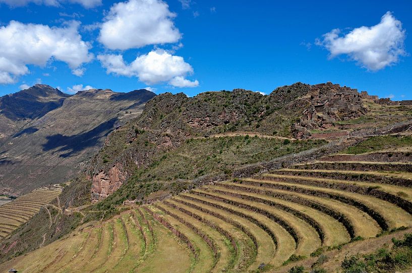 De terrassen van Pisac, erfenis van de Inca's van Frank Photos