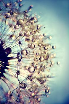 Bloc de paires bleu cristal