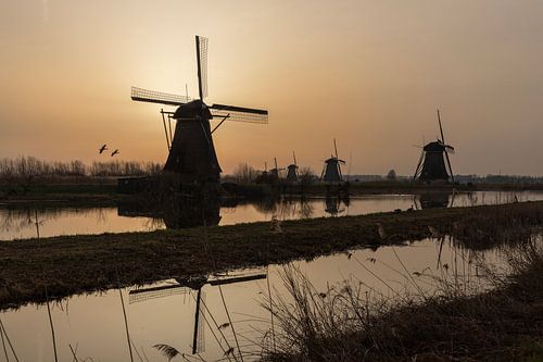 Zonsopkomst molens bij Werelderfgoed Kinderdijk metSaharastof