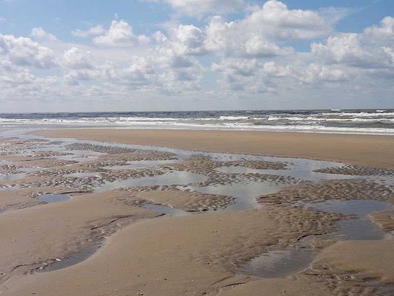 Patronen in het zand von Lotte Veldt