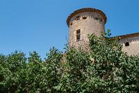 Castle tower southern France