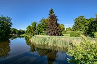 Schwanenteich im Schlosspark Putbus von GH Foto & Artdesign Miniaturansicht