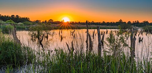 Coucher de soleil dans le parc national De Alde Feanen
