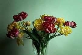 TULIPS / TUPLEN sur ERIX VELD