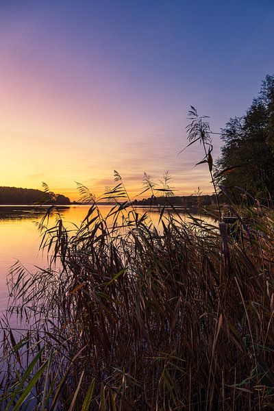 Sunrise on Lake Plau in the town of Plau am See by Rico Ködder