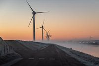 Winterse zonsopkomst