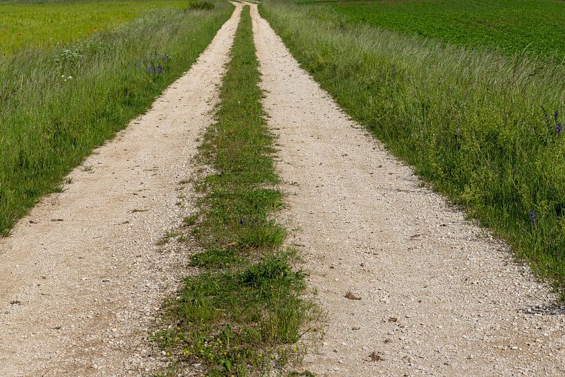 Feldweg von de-nue-pic